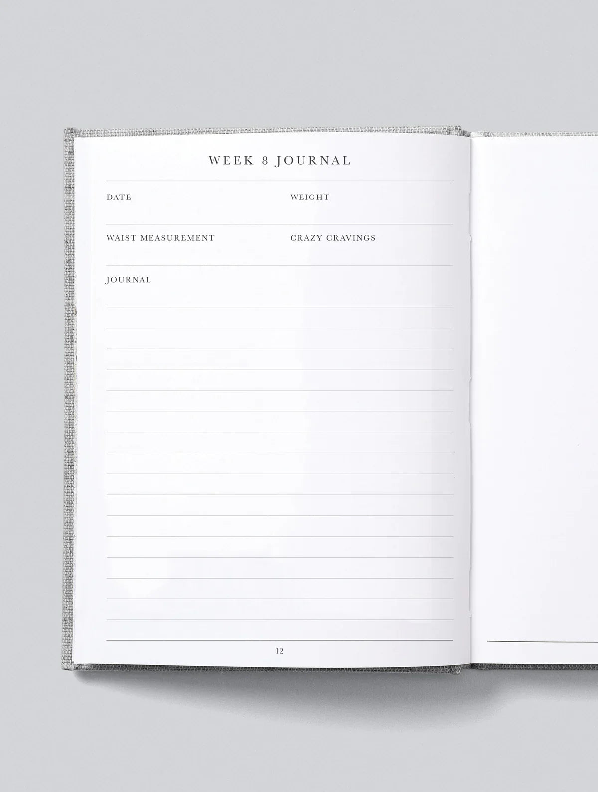 Bump. A Pregnancy Story