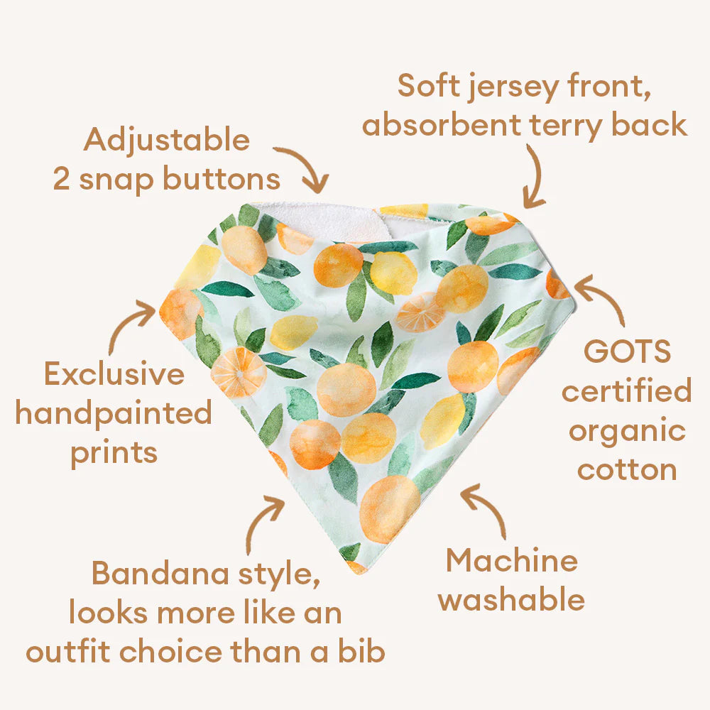 Citrus Squeeze Organic Dribble Bib