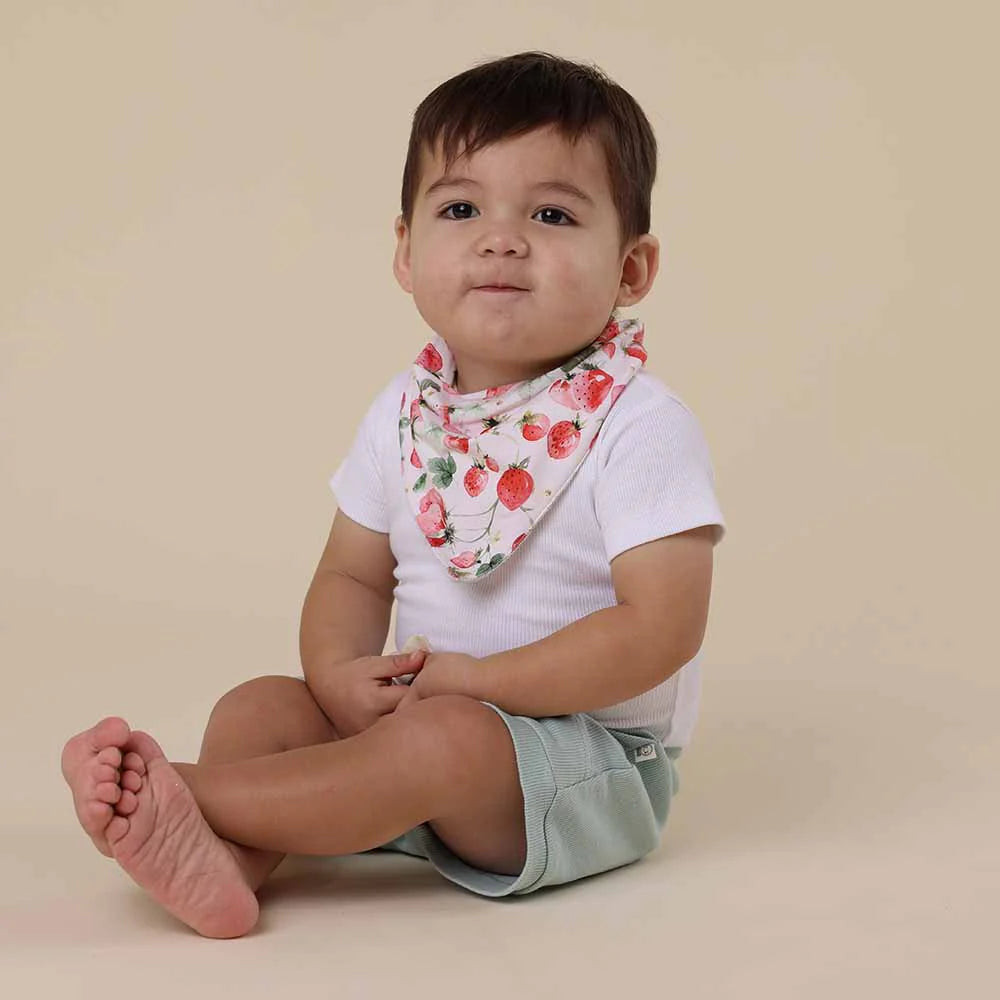 Strawberry Organic Dribble Bib