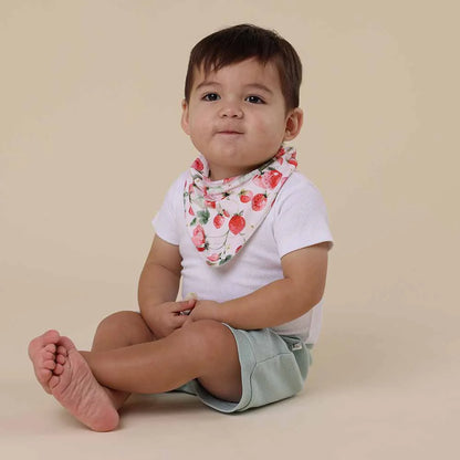Strawberry Organic Dribble Bib