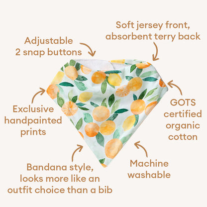Citrus Squeeze Organic Dribble Bib