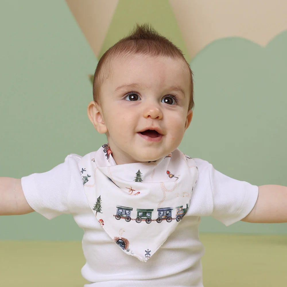 Dtibble Dribble Bibs – Bloom Baby Collective