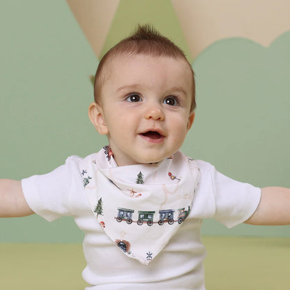 Trains Organic Dribble Bib