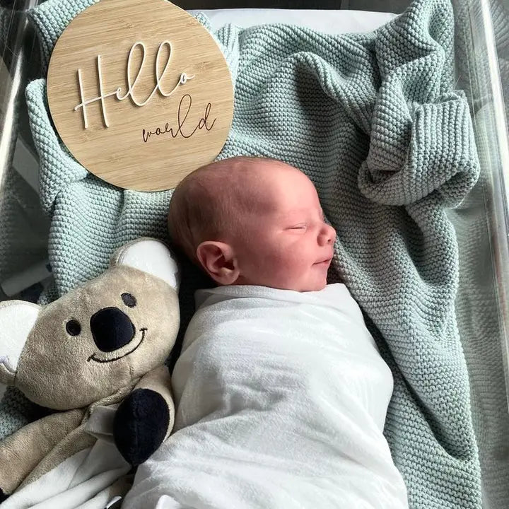 Hello World Baby Sign