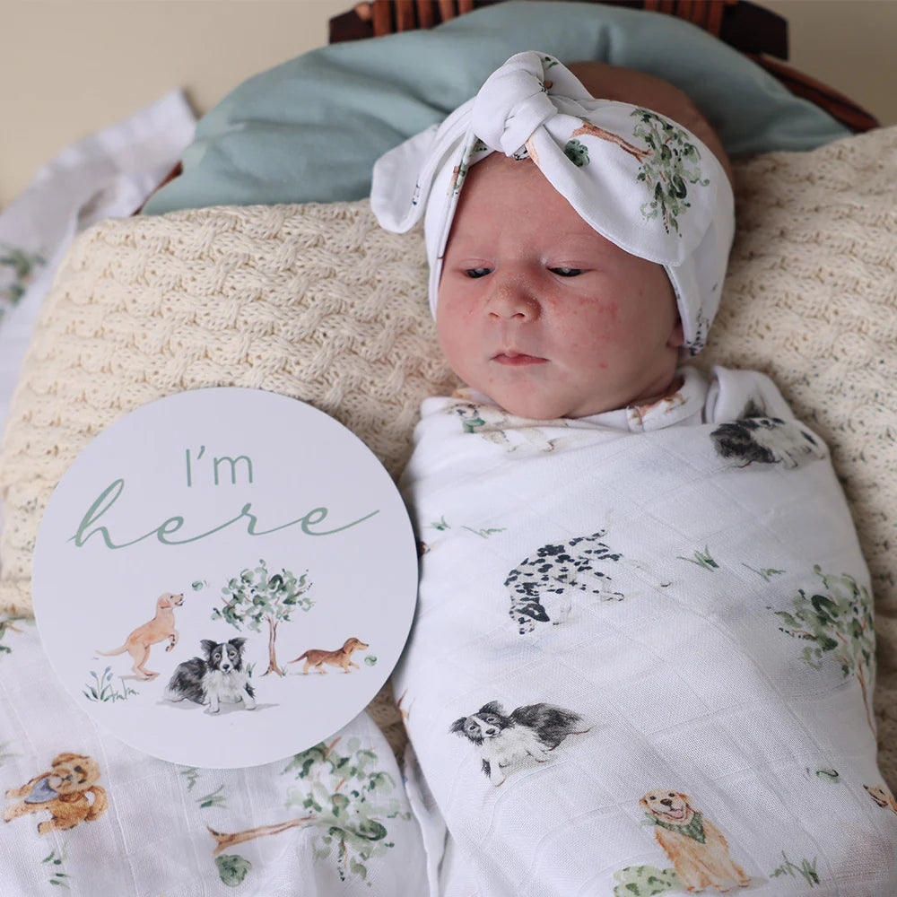 Dog Park &amp; Seedling Reversible Milestone Cards