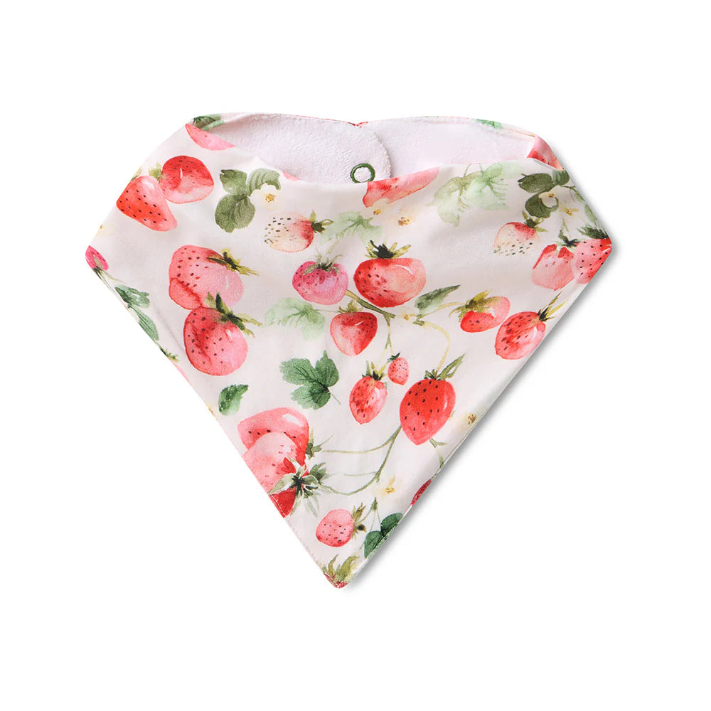 Strawberry Organic Dribble Bib