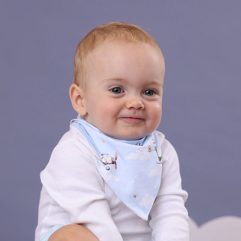 Taking Flight Organic Dribble Bib