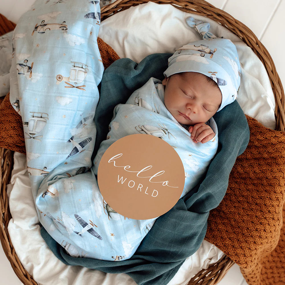 Taking Flight &amp; Pebble Reversible Milestone Cards